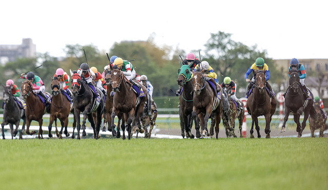 荒れるレース　出走数