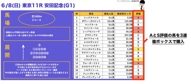 ナーツ競馬新聞の実際の画像
