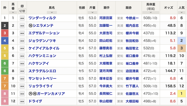 ウマドラ　有料予想検証出馬表