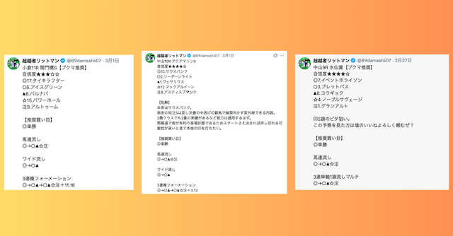 超越者リットマン 買い目の特徴