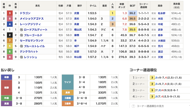 競馬で月収300万円　避けるべきレース1の出馬表