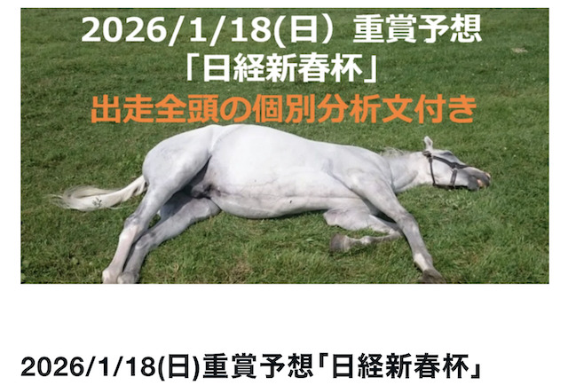 日経新春杯の予想画像