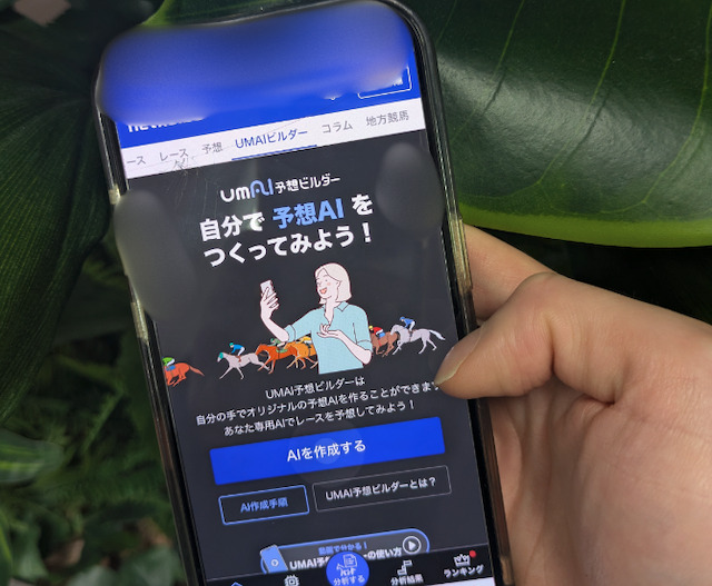 ユーザーから投稿された画像6