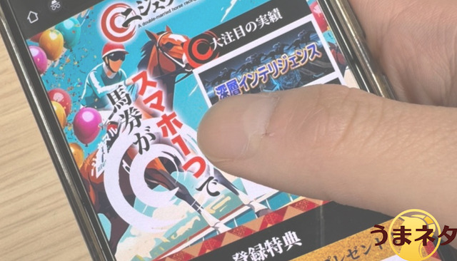 ニジュウマルのhp画面の様子