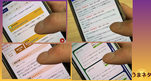 ニジュウマルの口コミを調査さいている様子の画像