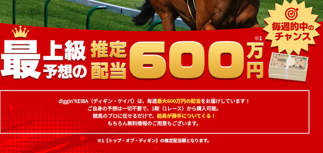 推定配当600万円の文言