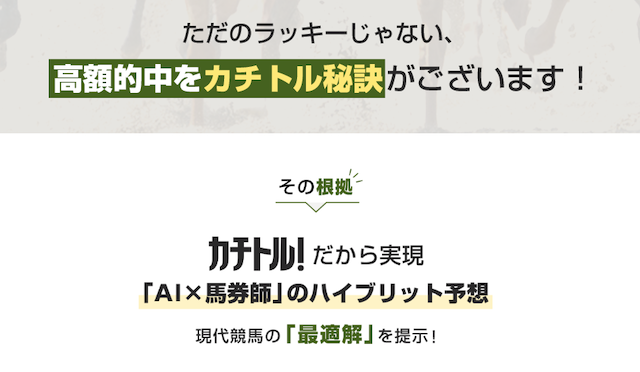 カチトル　サイトの特徴