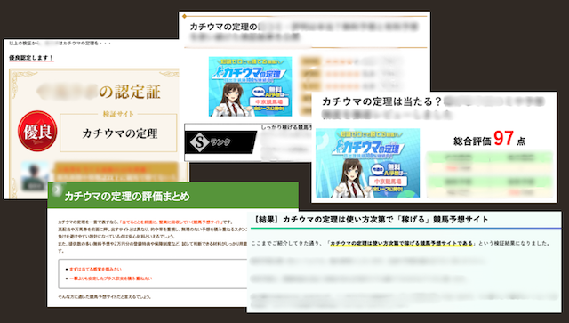 検証サイトの評価の様子