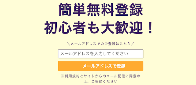 登録フォームの様子