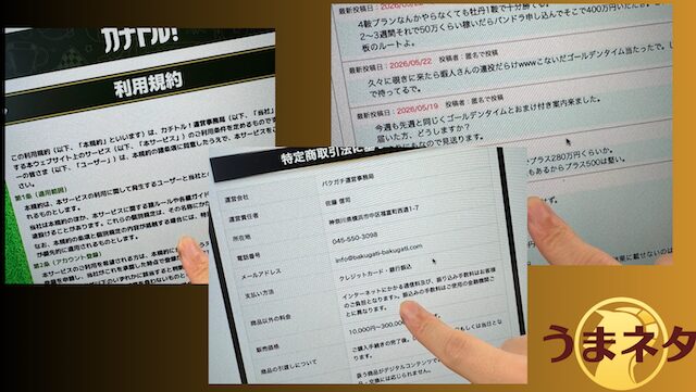 実際に運営体制や口コミを調査している様子