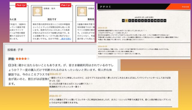 横綱ダービーの口コミ