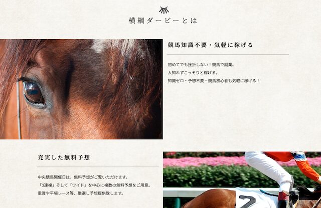 hpで書かれている強み